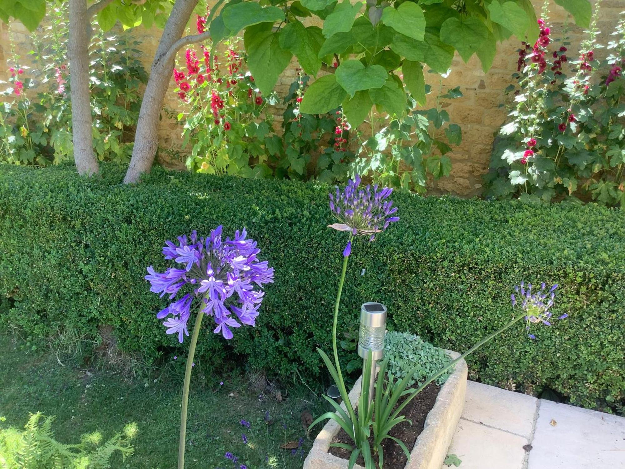 לינה וארוחת בוקר Ebrington Holly House מראה חיצוני תמונה